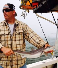 Brigantine Report Photo 2