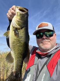 The largemouth bass bite is AMAZING!