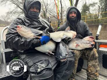 Non stop catfish action!