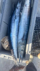 Fort Lauderdale Report Photo 1