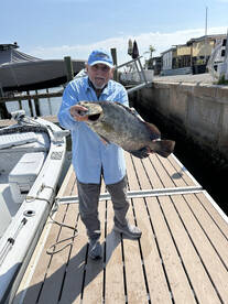 Plenty of fish for breakfast lunch dinne