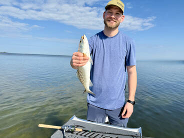 Tarpon Springs Report Photo 2