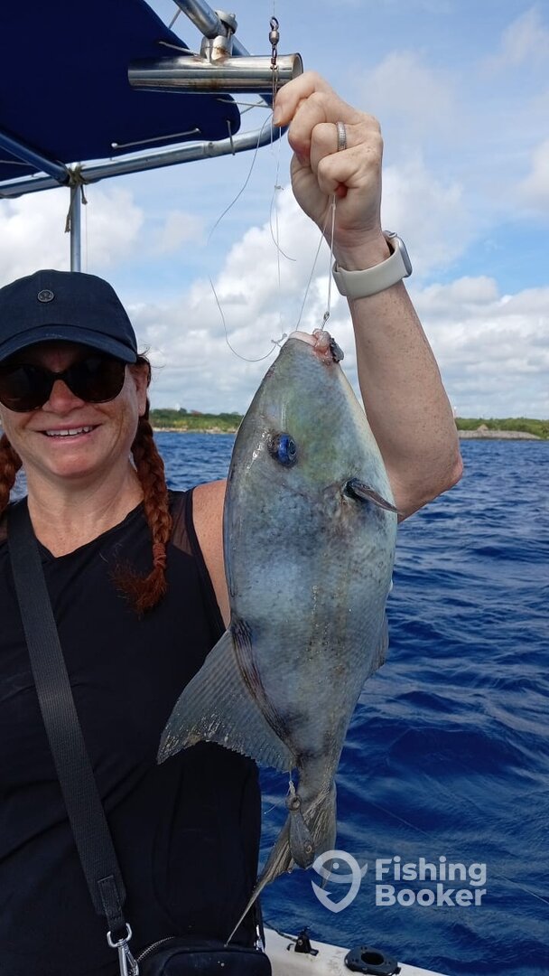 Playa Del Carmen Report Photo 0