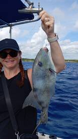 Pesca de fondo en el mar caribe!