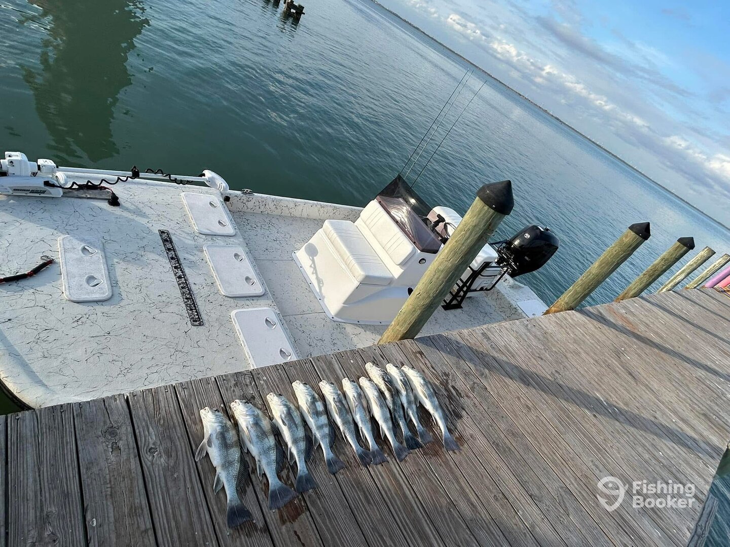 Port Aransas Report Photo 0
