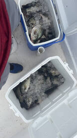 Clewiston Report Photo 2