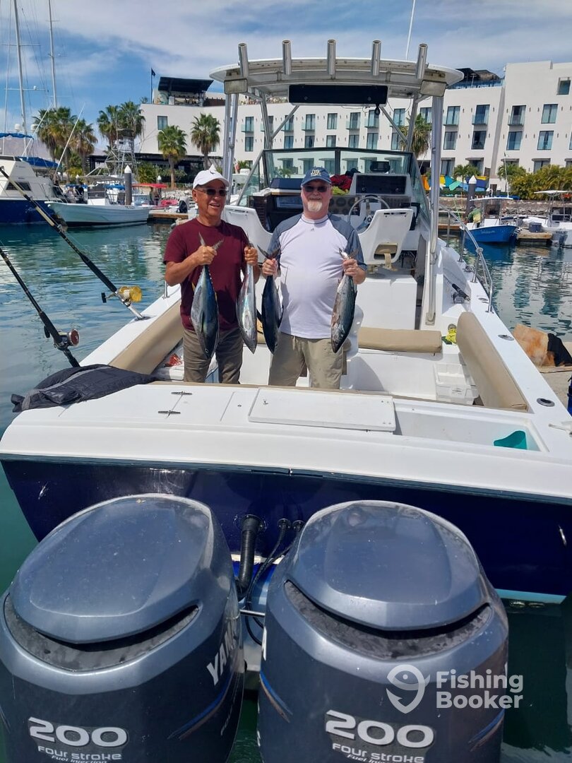 San Jose del Cabo Report Photo 0
