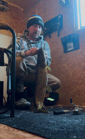 Awesome Fishing This Afternoon