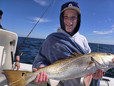 St. Simons Island Report Photo 2