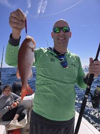 St. Simons Island Report Photo 1
