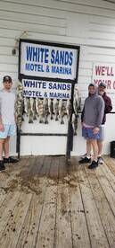 Big school of black drum quick results
