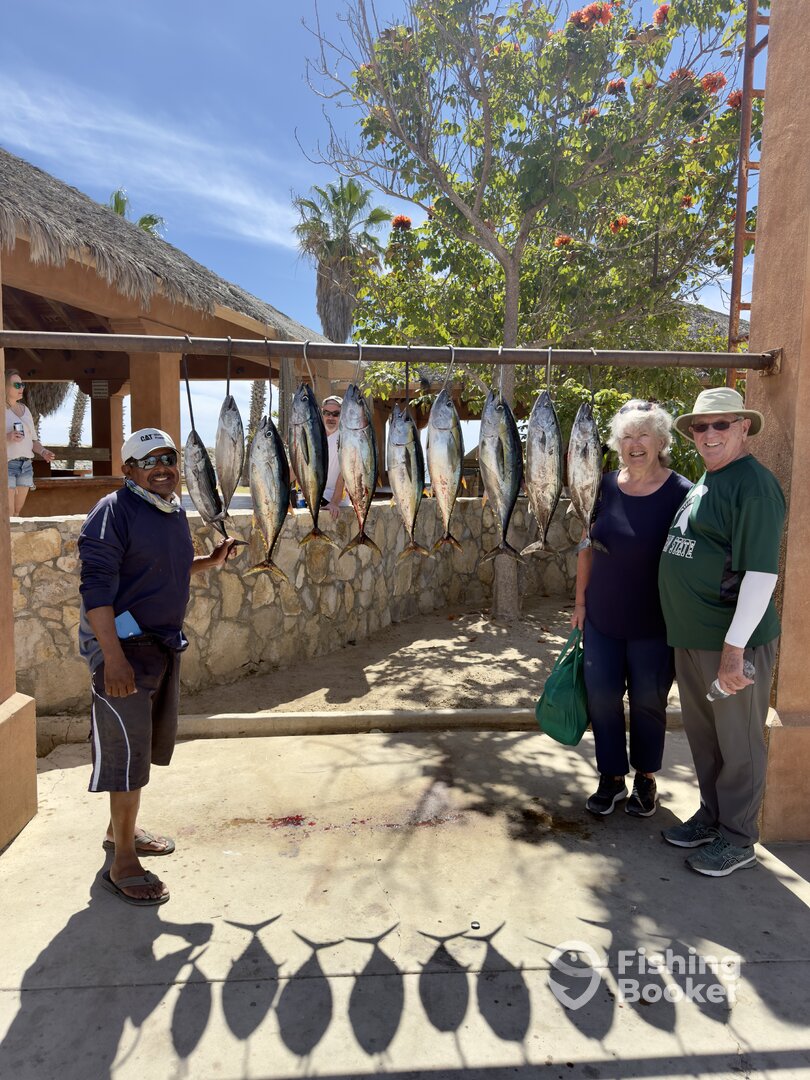San Jose del Cabo Report Photo 0