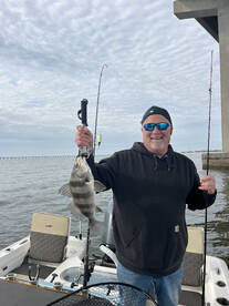 Monster Sheeps on Bridges