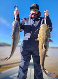 Clover Report Photo 2