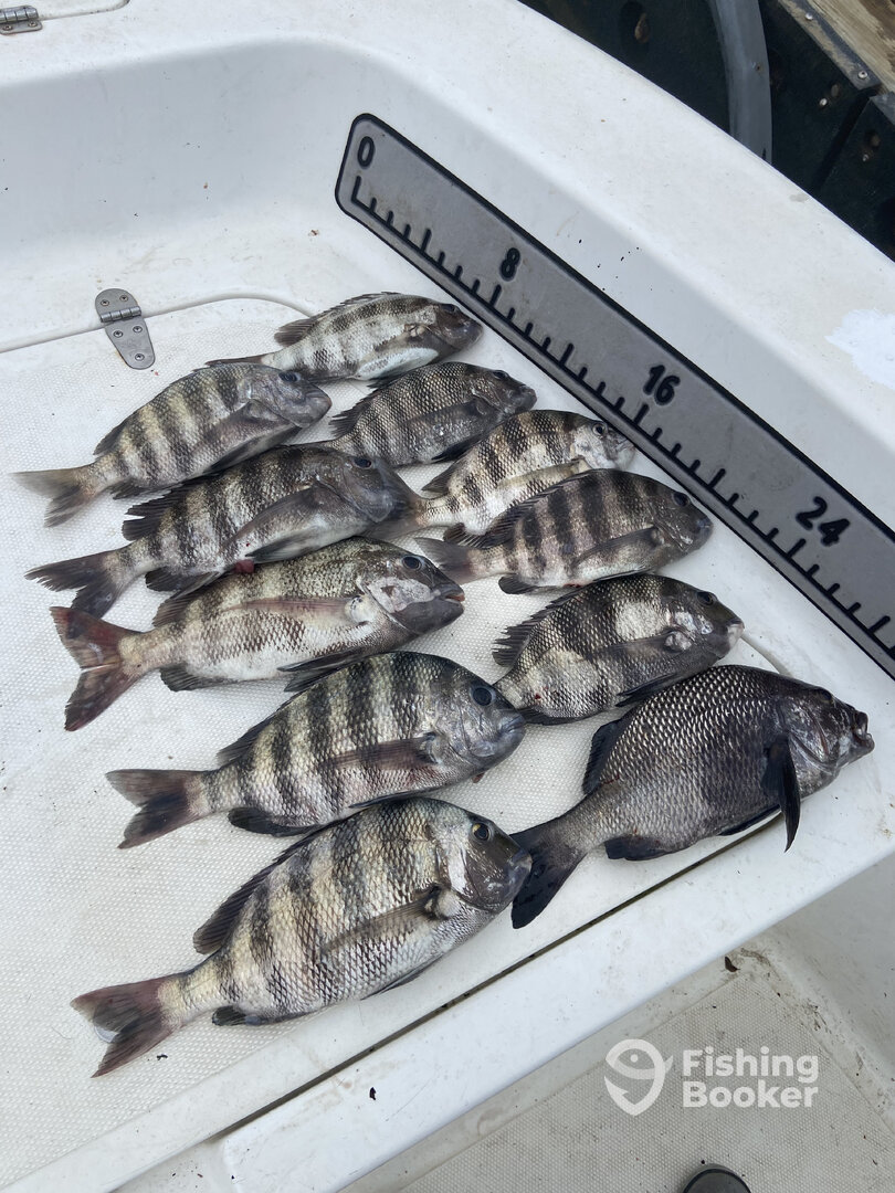 Port Canaveral Report Photo 0
