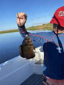 Cooler filler and fish frier special 