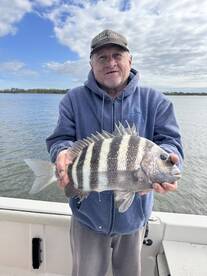 Sheepshead