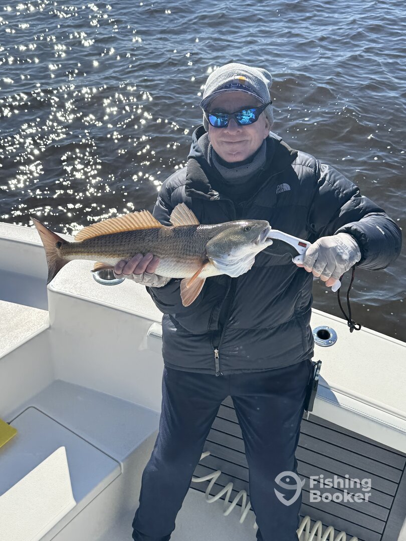 Jacksonville Report Photo 0