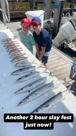 Senet, Mackerel, Perch, and Snapper toda