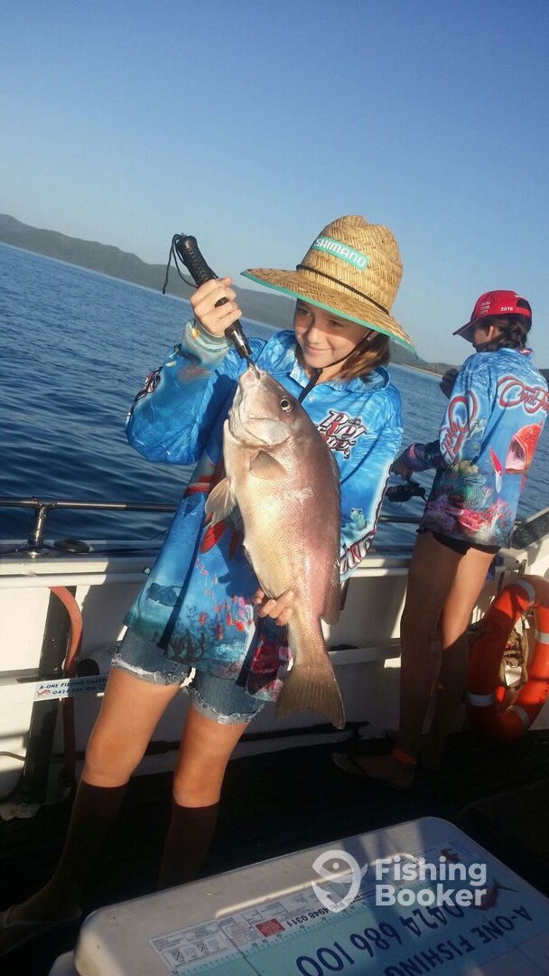 Airlie Beach Report Photo 0