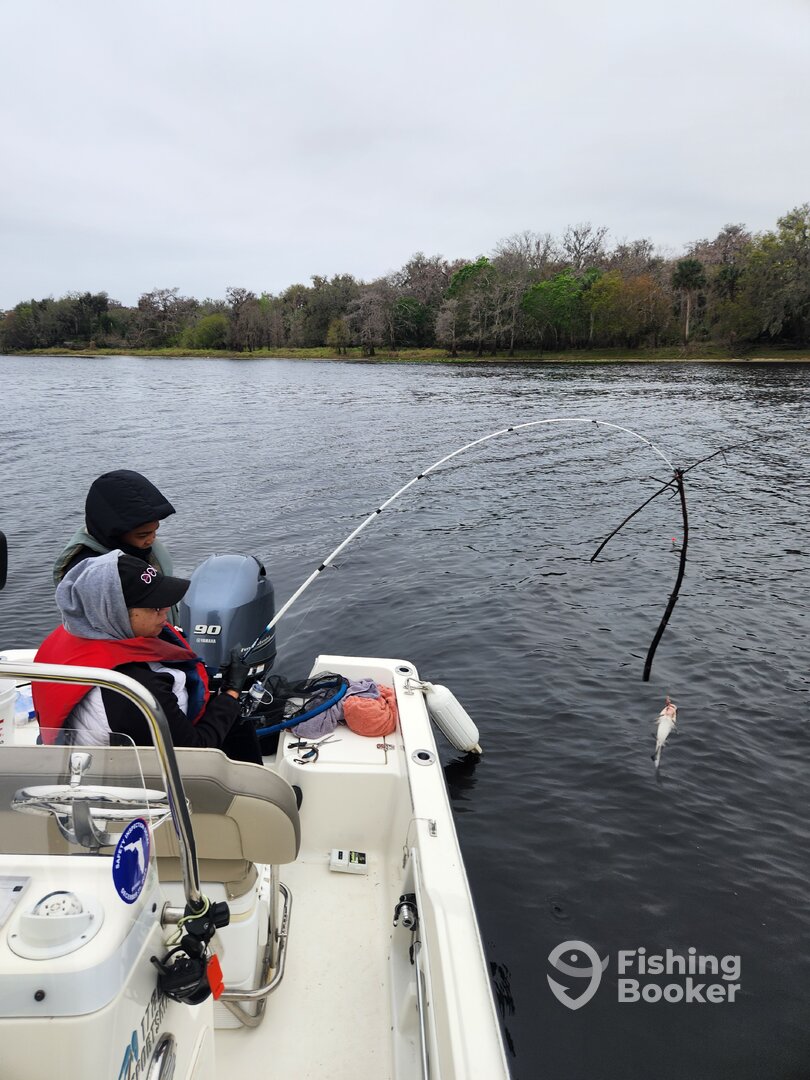 DeBary Report Photo 0