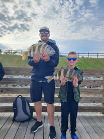 Gulf Shores Report Photo 1