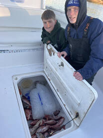 Gulf Shores Report Photo 1