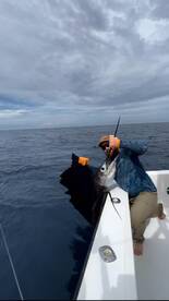 Every day is beautiful when you go into 