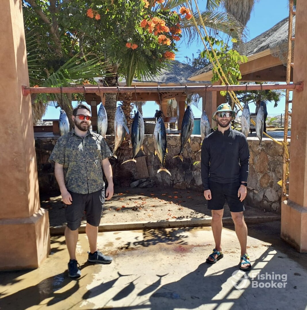San Jose del Cabo Report Photo 0