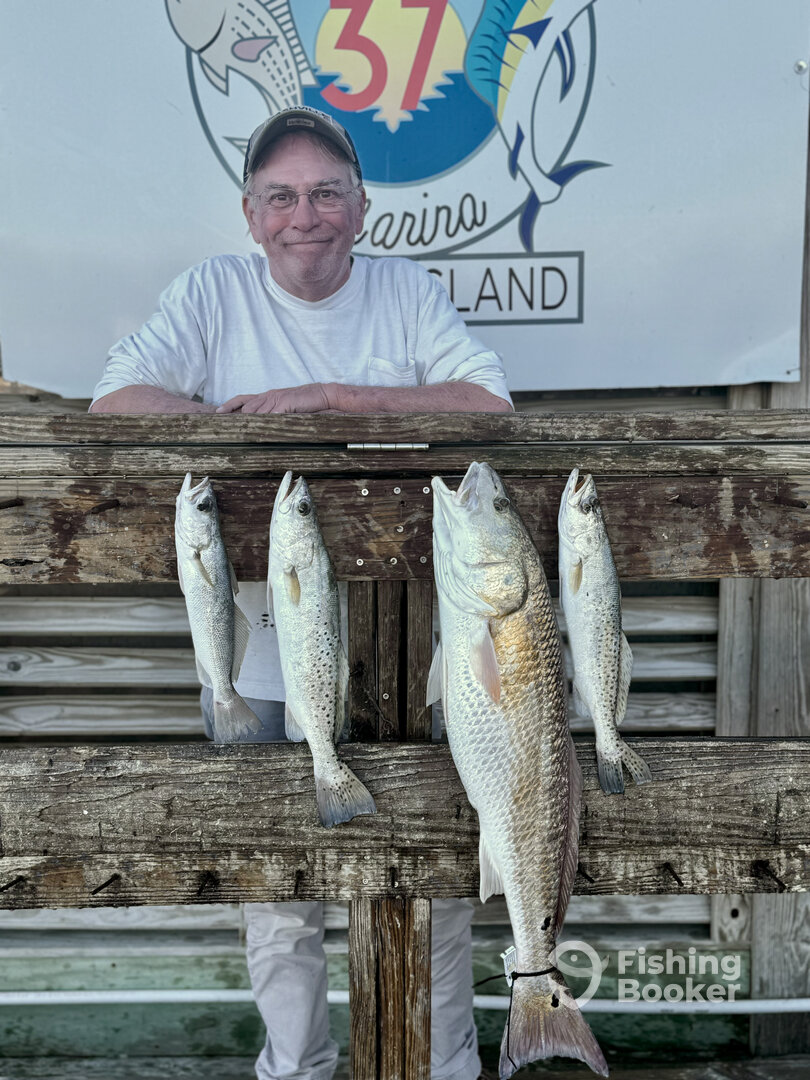 Corpus Christi Report Photo 0