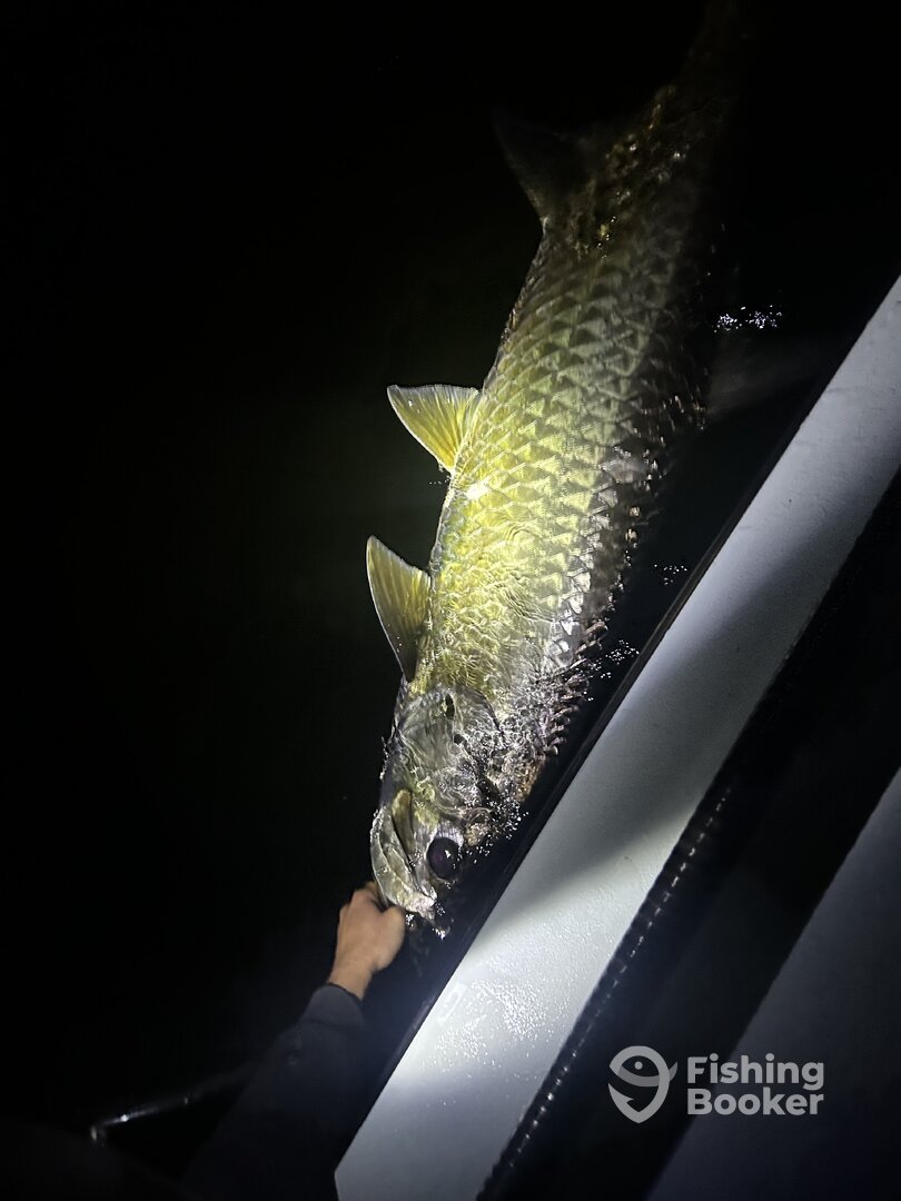 Bahia Mar Yachting Center Report Photo 0