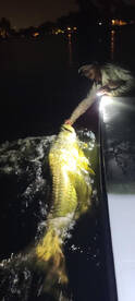 Fort Lauderdale Report Photo 2