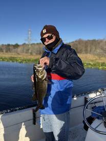 Repeat customers bustin bass