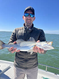 Tarpon Springs Report Photo 1