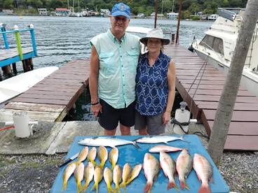 Half day inshore fishing 