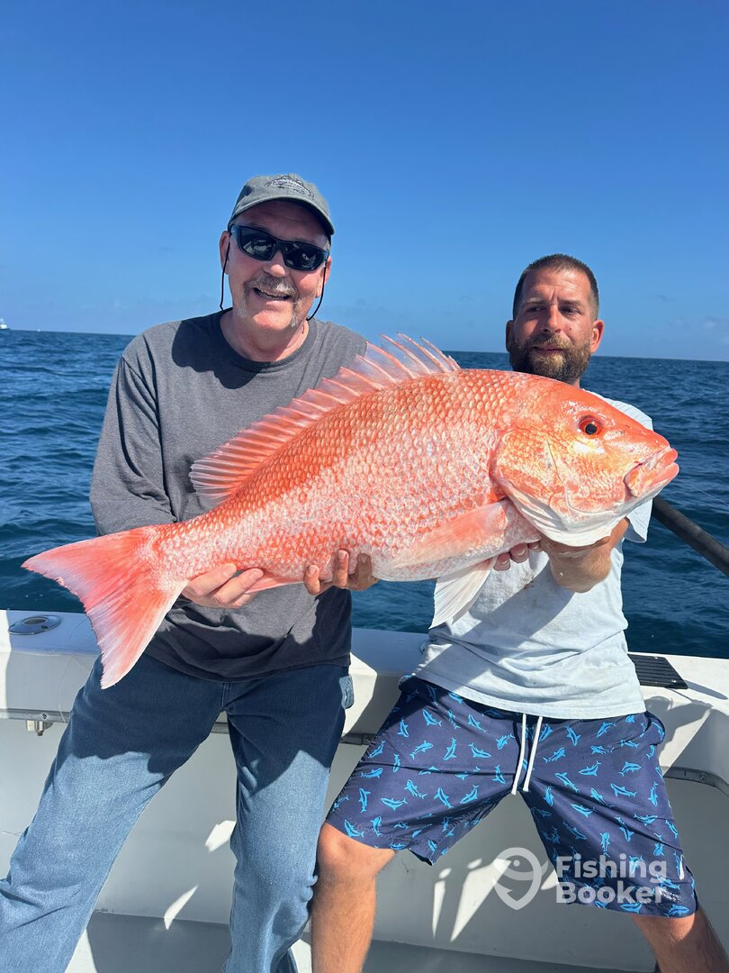 Dania Beach Report Photo 0