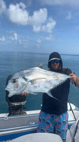 African pompono bite ?