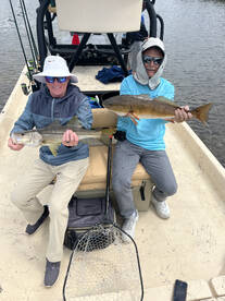 Punta Gorda Report Photo 1