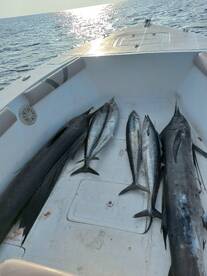 Fantastic trip with Eldis 