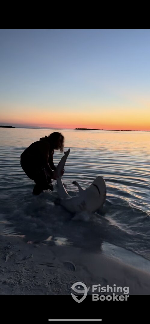Destin Report Photo 0