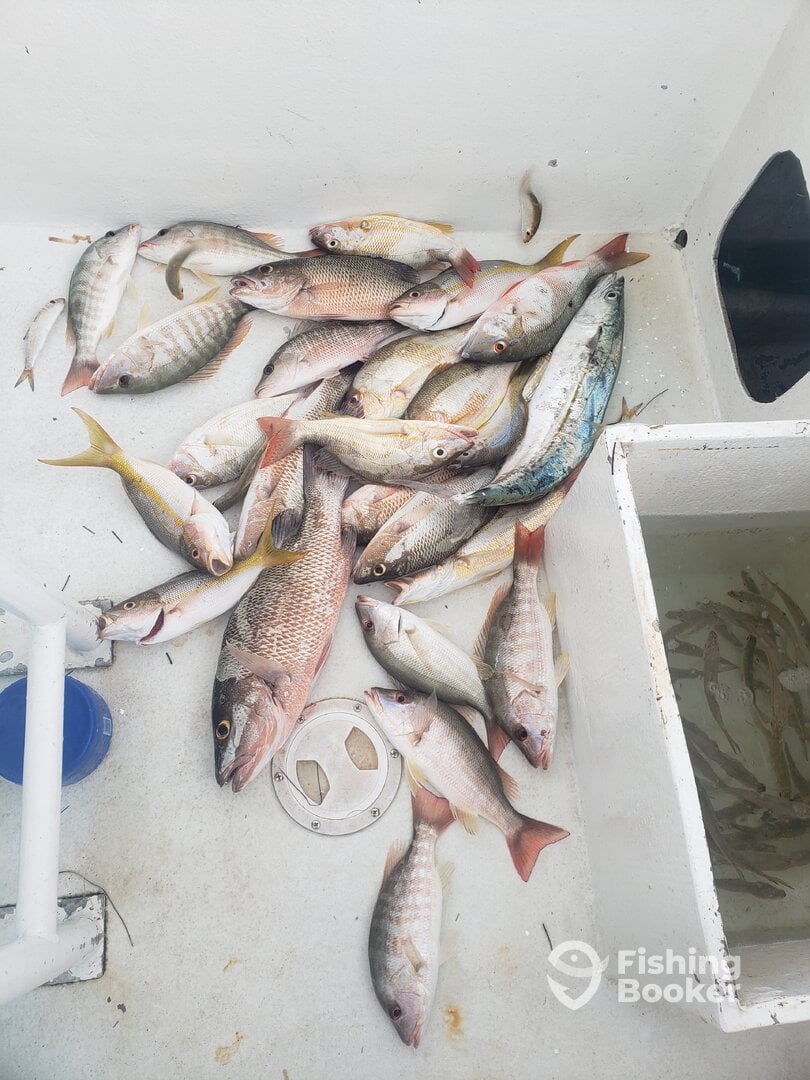 San Pedro Report Photo 0