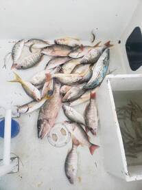 Eva and her son do great fishing 