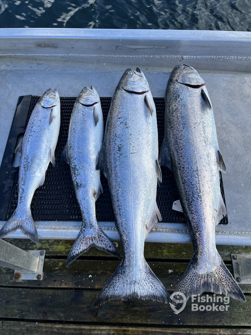 Sooke Report Photo 0