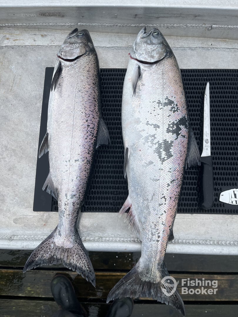 Sooke Report Photo 0
