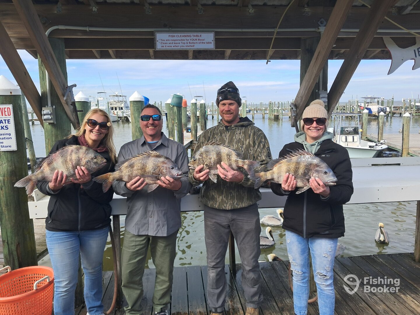 Gulf Shores Report Photo 0