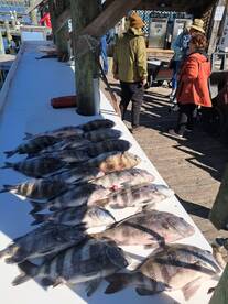 Gulf Shores Report Photo 1