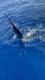 The Pacific doing its thing