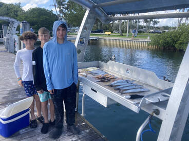 Alot of fish being caught!