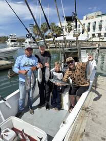 San Jose del Cabo Report Photo 2