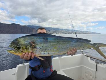 Madeira Report Photo 1